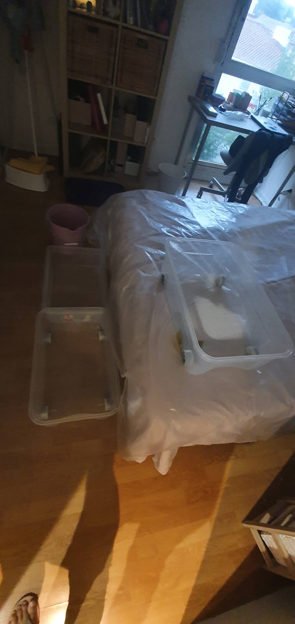 Photo n° 2 de l'avis de carbajo.e fait le 28/09/2020 à 14:24