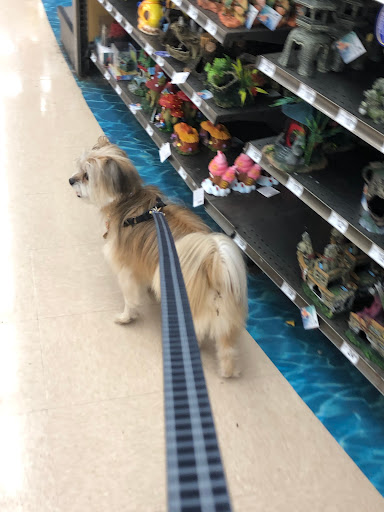 Pet Supply Store «Petco Animal Supplies», reviews and photos, 2615 Medical Center Pkwy #500, Murfreesboro, TN 37129, USA
