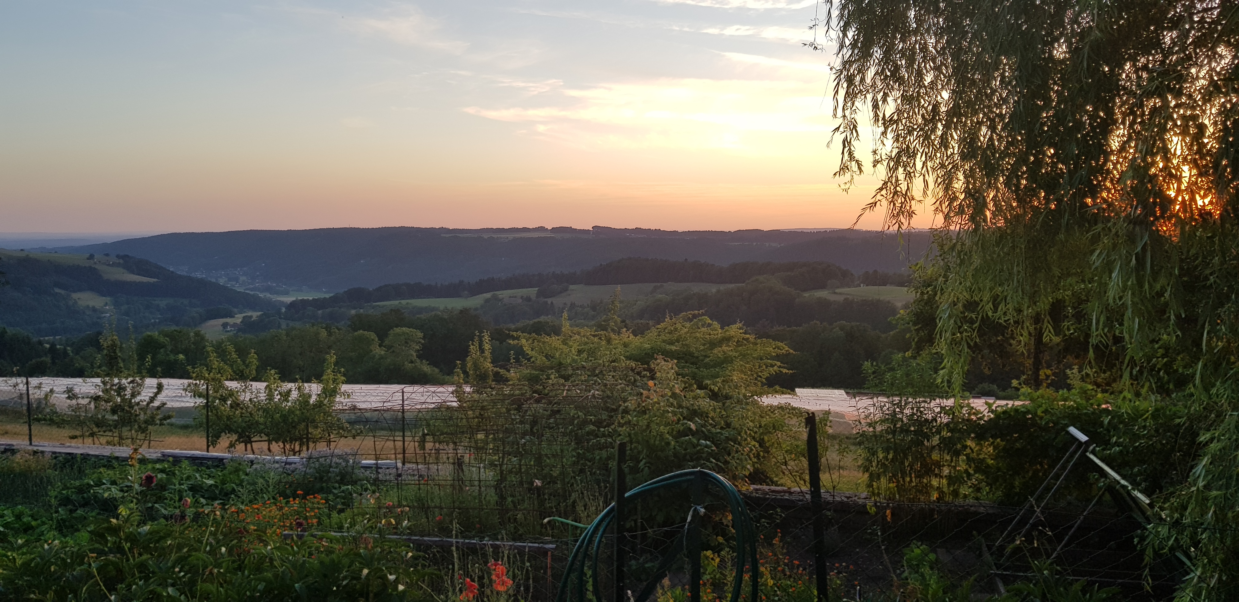 Photo n° 5 de l'avis de Damien.e fait le 19/07/2019 à 21:08