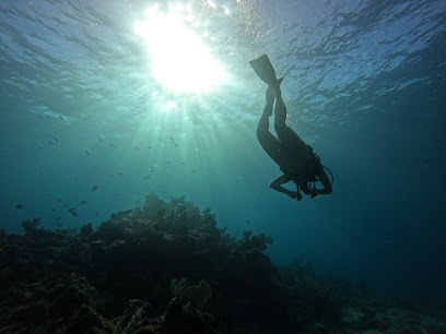 The Diving Backpacker - Cancun