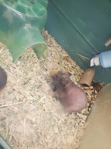 Pet Supply Store «Pet Supplies Plus», reviews and photos, 1168 Farmington Ave, Bristol, CT 06010, USA