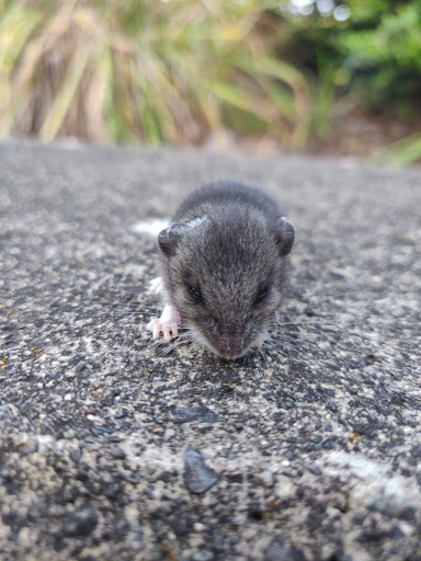 Museum «Vancouver Water Resources Education Center», reviews and photos, 4600 SE Columbia Way, Vancouver, WA 98661, USA