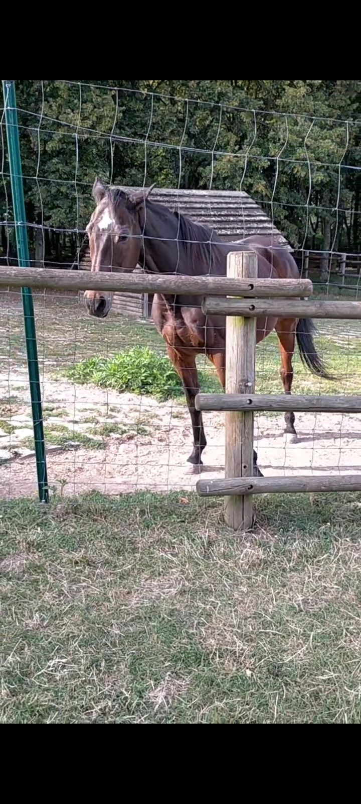 Photo n° 25 de l'avis de Muskan.e fait le 19/08/2021 à 00:44