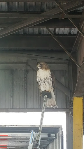 Freight Forwarding Service «UPS Freight», reviews and photos, 185 Boston Rd, Southborough, MA 01772, USA