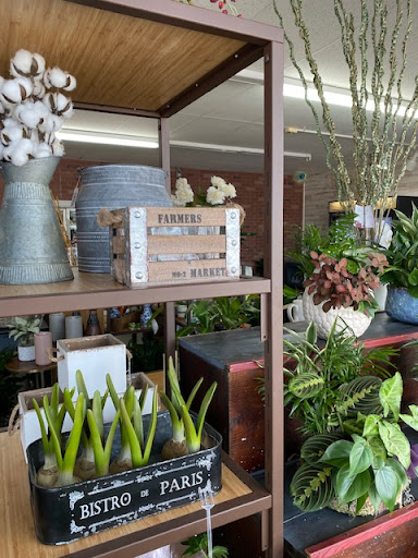 Florist «Tropical Interiors Florist», reviews and photos, 1303 53rd Ave W, Bradenton, FL 34207, USA