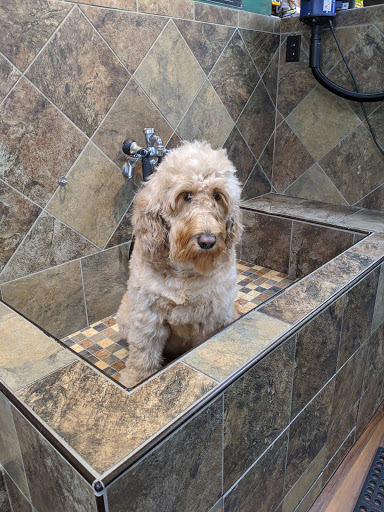 Pet Store «Pet Valu», reviews and photos, 7875 Heneska Loop, Alexandria, VA 22315, USA