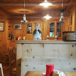 Photo n°1 de l'avis de Massimo.n fait le 17/08/2020 à 08:29 sur le  Bar Marianna à Cepina