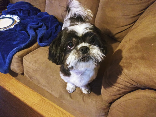 Pet Supply Store «PetSmart», reviews and photos, 11183 S Parker Rd, Parker, CO 80134, USA