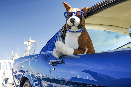 Vista Ford Lincoln image