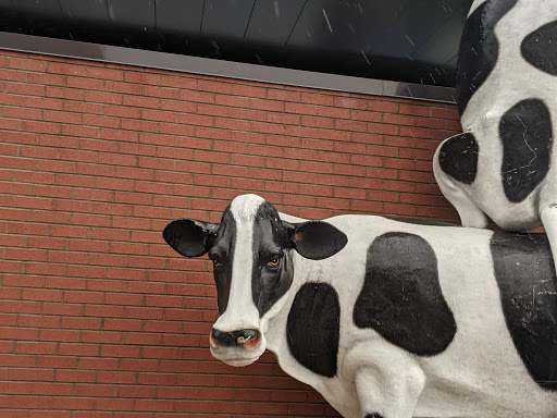 Fast Food Restaurant «Chick-fil-A», reviews and photos, 595 Northtown Dr NE, Blaine, MN 55434, USA