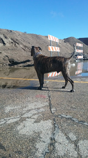 Casino «Dakota Magic Casino», reviews and photos, 16849 102nd St SE, Hankinson, ND 58041, USA