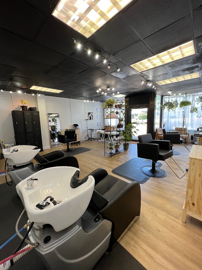 Meraki Collective 45227