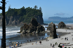 Fotografie cu Ruby Beach înconjurat de munți