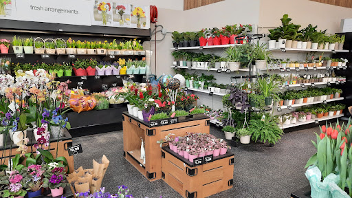 Grocery Store «Meijer», reviews and photos, 6550 Harrison Ave, Cincinnati, OH 45247, USA