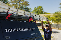 Trutech Wildlife Service - Photo 8 - Car repair in , Clearwater