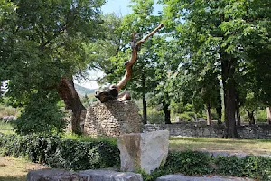 Biblijski vrt Stomorija image