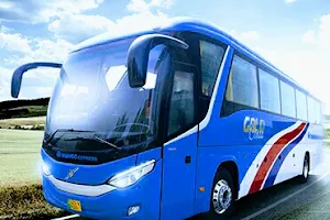 Billu Motors Travel and Tours and Rent a Bus, Coaster, Grand Cabin & Car Faisalabad image