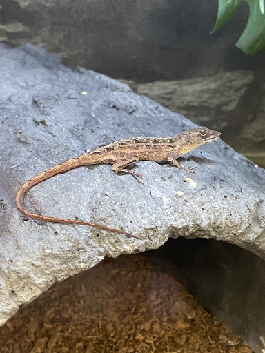 Pet Supply Store «Petco Animal Supplies», reviews and photos, 50 Ernest W Barrett Pkwy NW #500, Marietta, GA 30066, USA