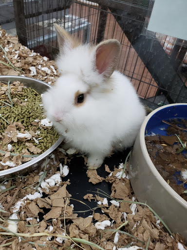 Pet Store «Pets Plus - Quakertown», reviews and photos, 117 S West End Blvd, Quakertown, PA 18951, USA