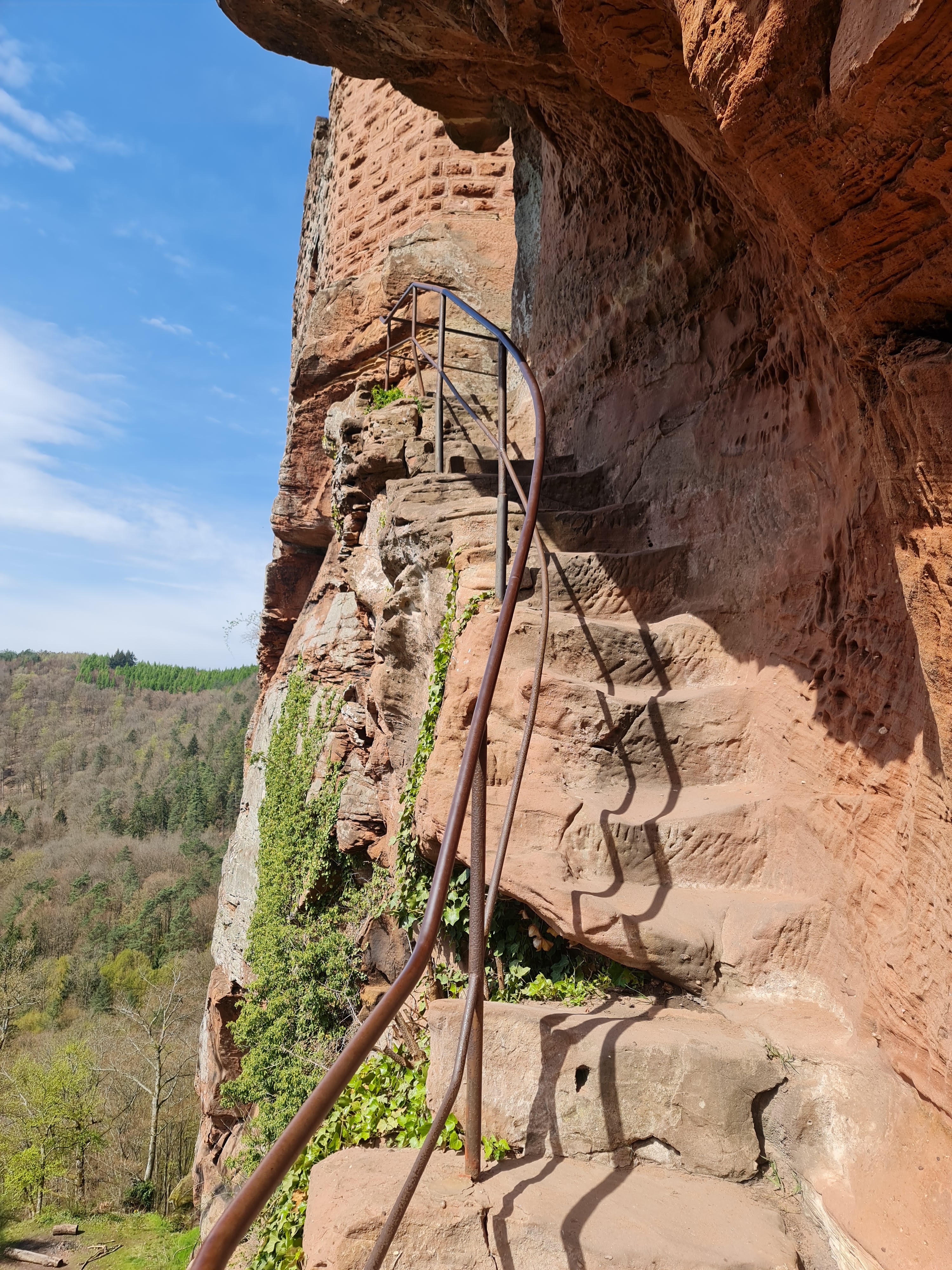 Photo n° 23 de l'avis de Roland.y fait le 23/04/2023 à 08:05