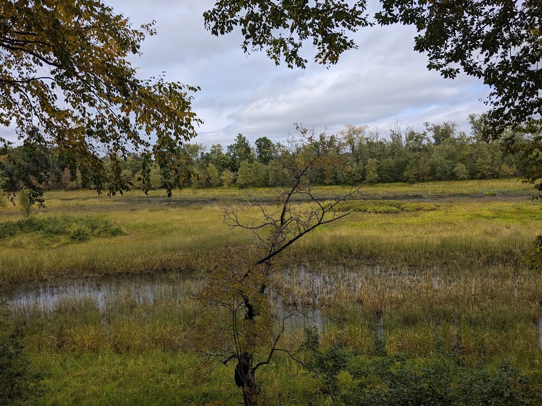 Mass Audubon Arcadia Wildlife Sanctuary