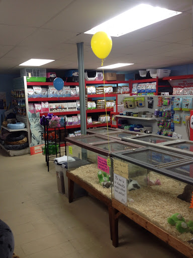 Pet Store «Hendersonville Pet Shop», reviews and photos, 1400 Spartanburg Hwy, Hendersonville, NC 28792, USA