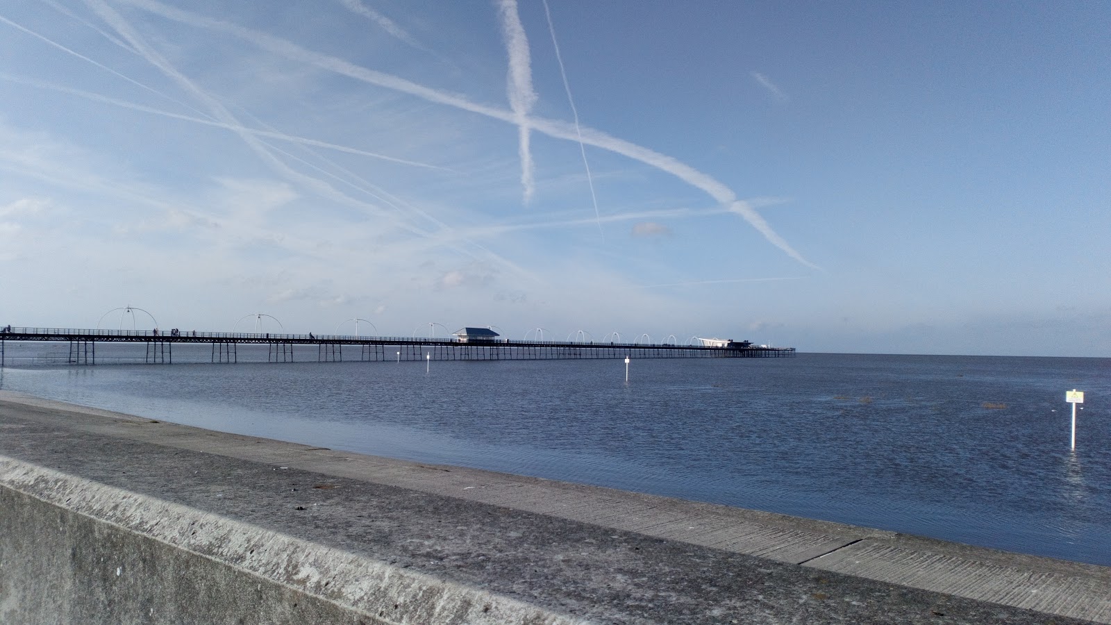 Foto van Zuidpoort Strand wilde omgeving