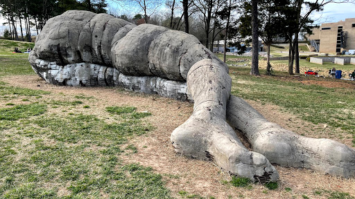 Art Museum «North Carolina Museum of Art», reviews and photos, 2110 Blue Ridge Rd, Raleigh, NC 27607, USA