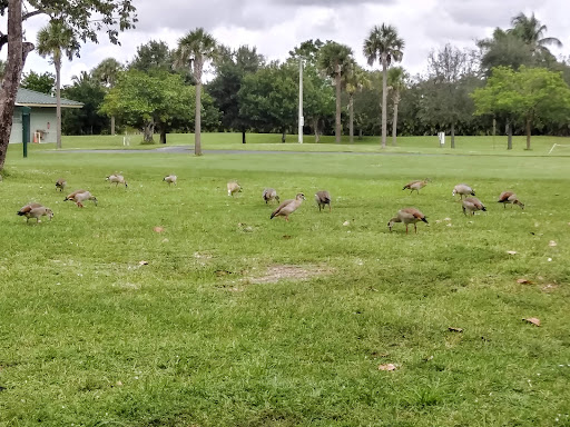Park «Plantation Heritage Park», reviews and photos, 1100 S Fig Tree Ln, Plantation, FL 33317, USA