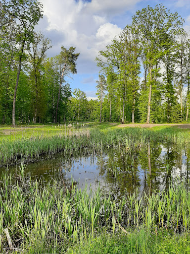 Regenrückhaltebecken Langwasser