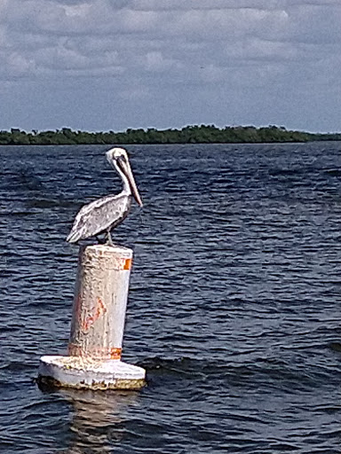 Boat Tour Agency «Good Time Charters», reviews and photos, 4765 Estero Blvd, Fort Myers Beach, FL 33931, USA