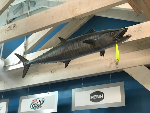 Marine Supply Store «West Marine», reviews and photos, 41286 US Hwy 19 N, Tarpon Springs, FL 34689, USA