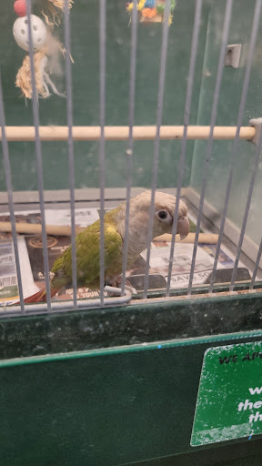 Pet Supply Store «Pet Supplies Plus», reviews and photos, 2057 S Telegraph Rd, Bloomfield Hills, MI 48302, USA