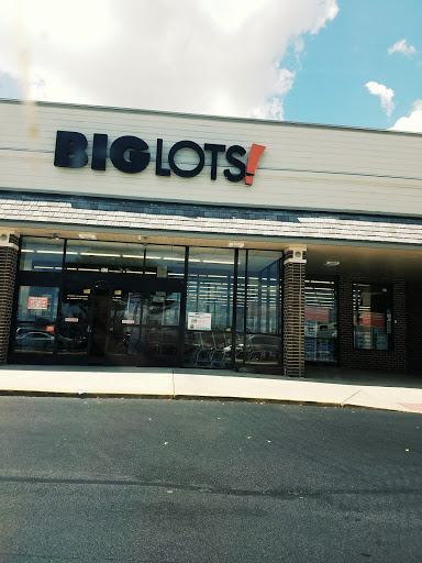 Big Lots, 490 Elden St, Herndon, VA 20170, USA, 