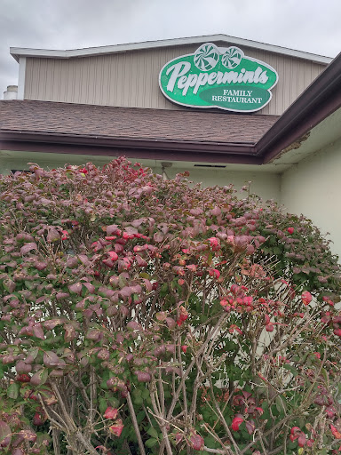 Family Restaurant «Peppermints», reviews and photos, 4870 W Henrietta Rd, Henrietta, NY 14467, USA