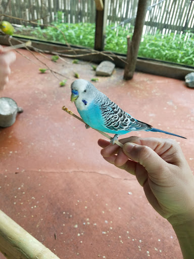 Zoo «Blank Park Zoo», reviews and photos, 7401 SW 9th St, Des Moines, IA 50315, USA