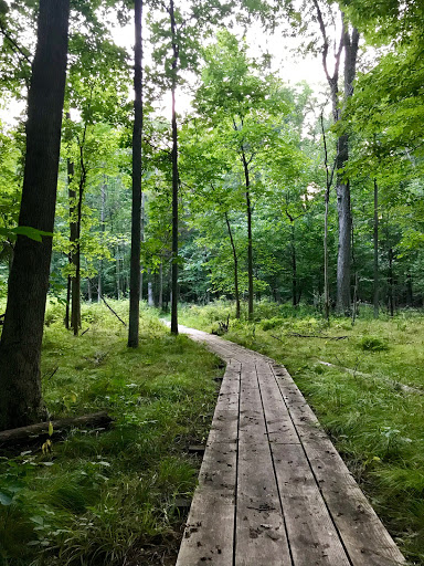 Forestview Natural Area