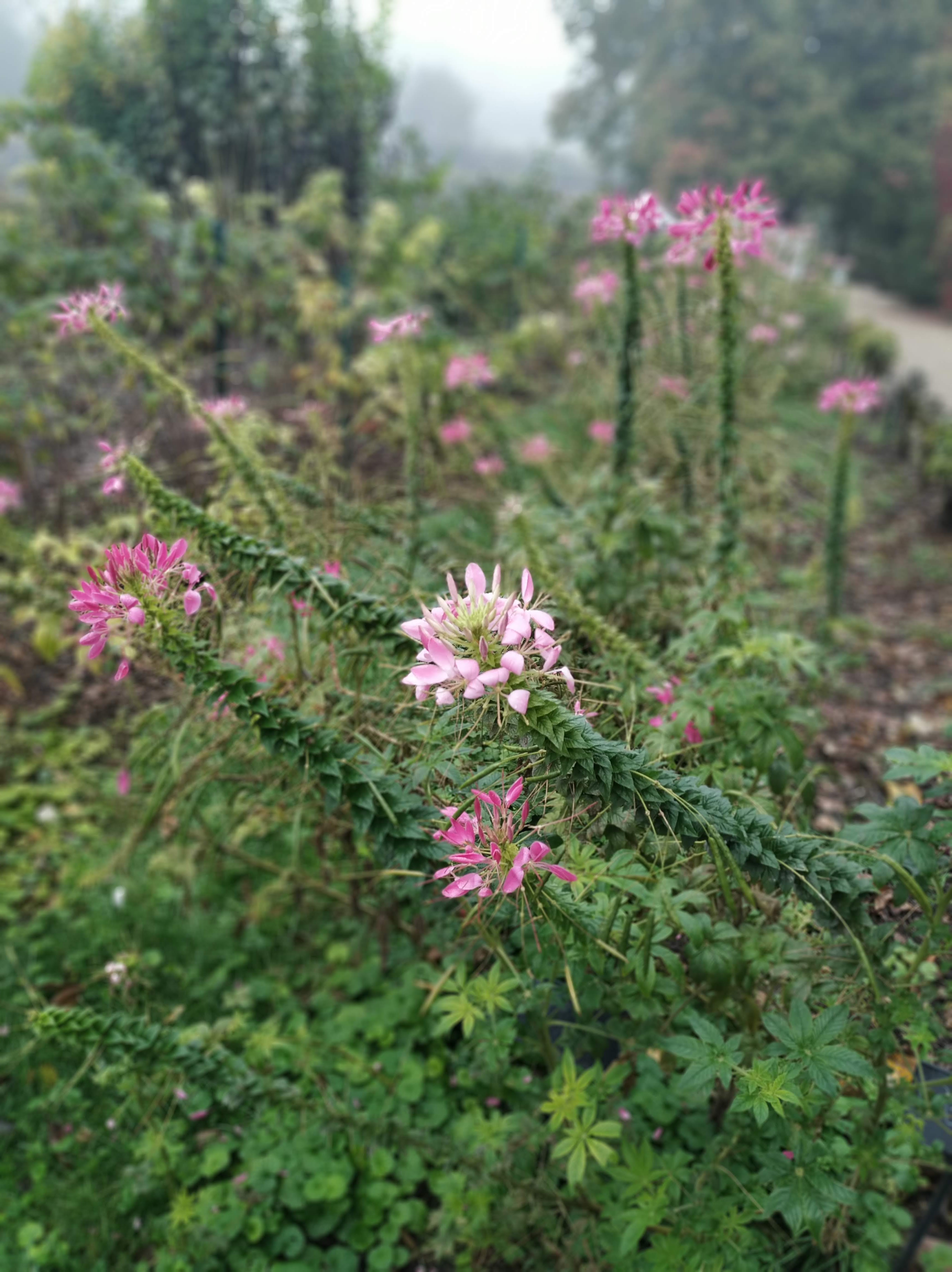 Photo n° 2 de l'avis de Raimbaut.a fait le 22/10/2019 à 15:24