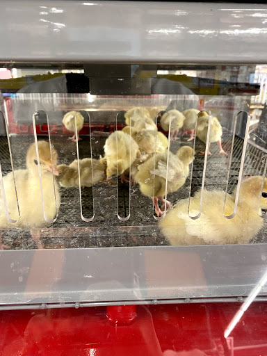 Home Improvement Store «Tractor Supply Co.», reviews and photos, 1360 Strickler Rd, Mount Joy, PA 17552, USA