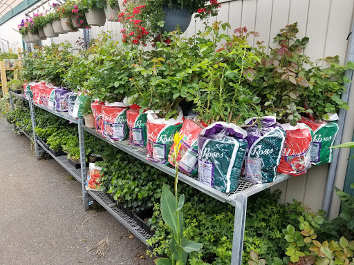 Garden Center «Westminster Nursery & Florist», reviews and photos, 30 Westminster Rd, West Hempstead, NY 11552, USA