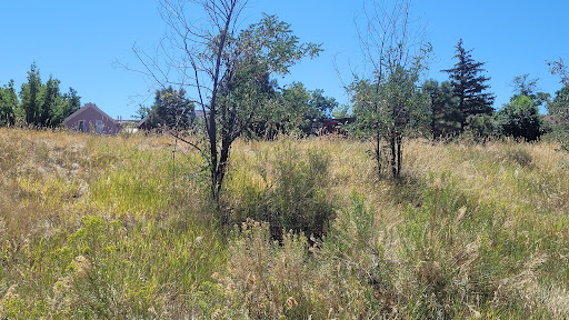 Park «Clear Creek White Water Park», reviews and photos, 1201 10th St, Golden, CO 80401, USA