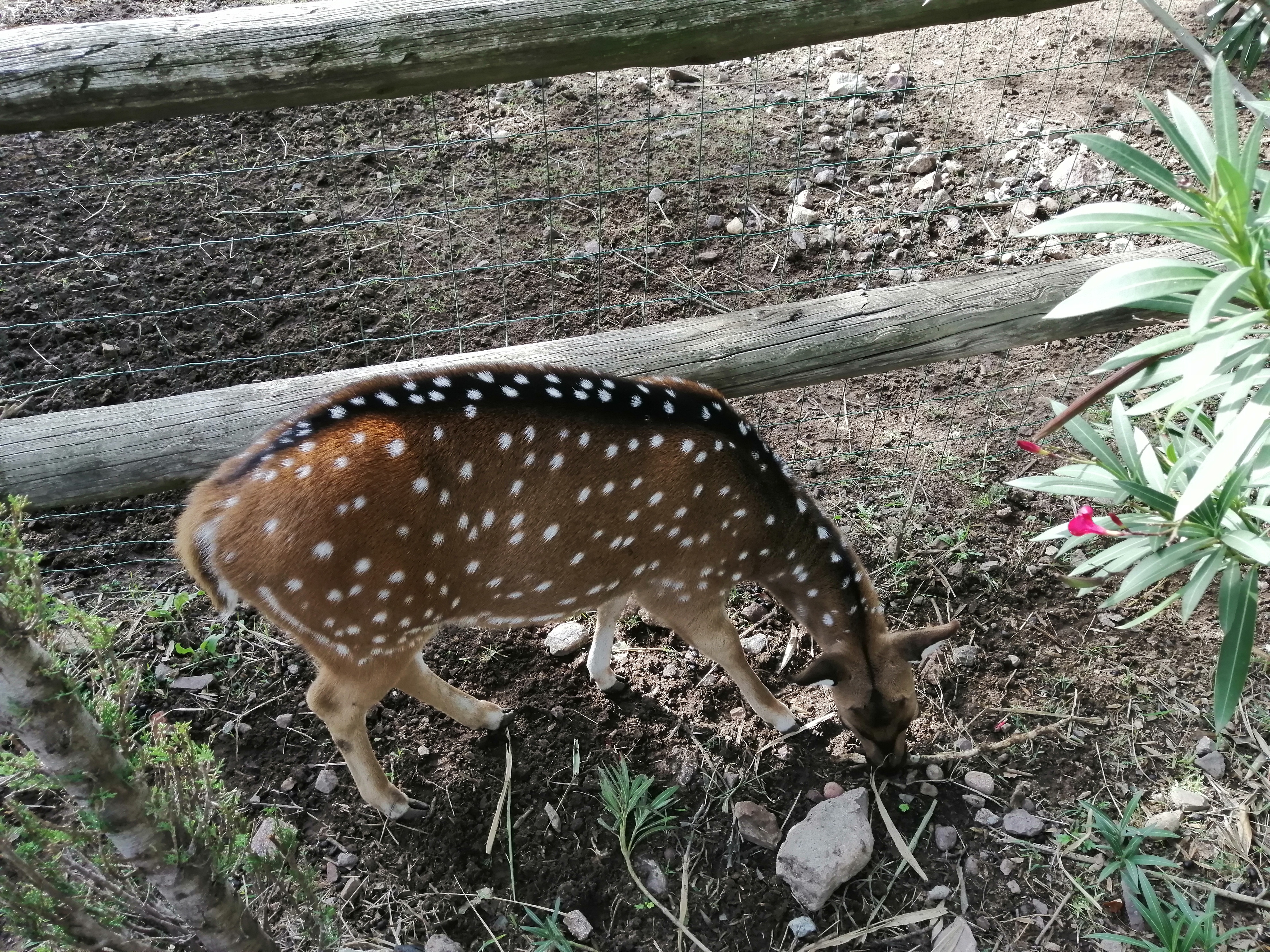 Photo n° 18 de l'avis de remy.e fait le 25/10/2019 à 16:38