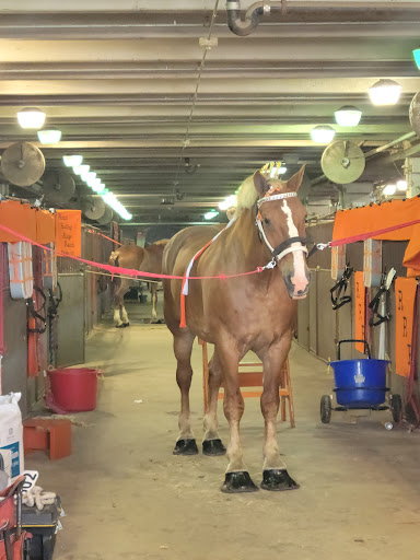 Fairground «Wisconsin State Fair Park», reviews and photos, 640 S 84th St, West Allis, WI 53214, USA