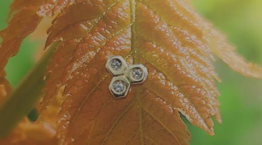 Tattoo Shop «Skin of A Different Color», reviews and photos, 2080 E New York St, Aurora, IL 60502, USA