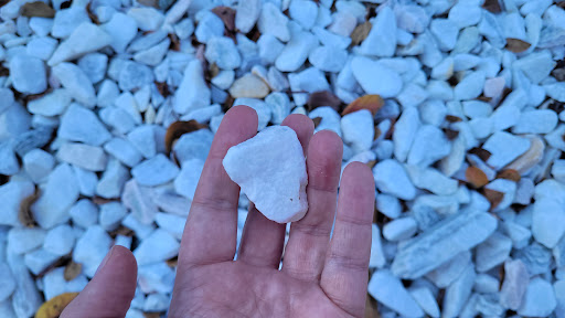 Non-Profit Organization «Southern Poverty Law Center», reviews and photos