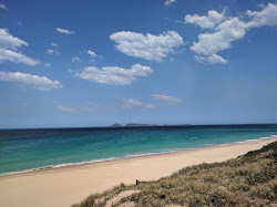 Foto von Mungo Beach befindet sich in natürlicher umgebung