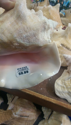 Swimwear Store «Wings Beachwear - Myrtle Beach # 024», reviews and photos, 5700 S Kings Hwy, Myrtle Beach, SC 29575, USA