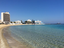 Palm beach'in fotoğrafı #43 ile birlikte