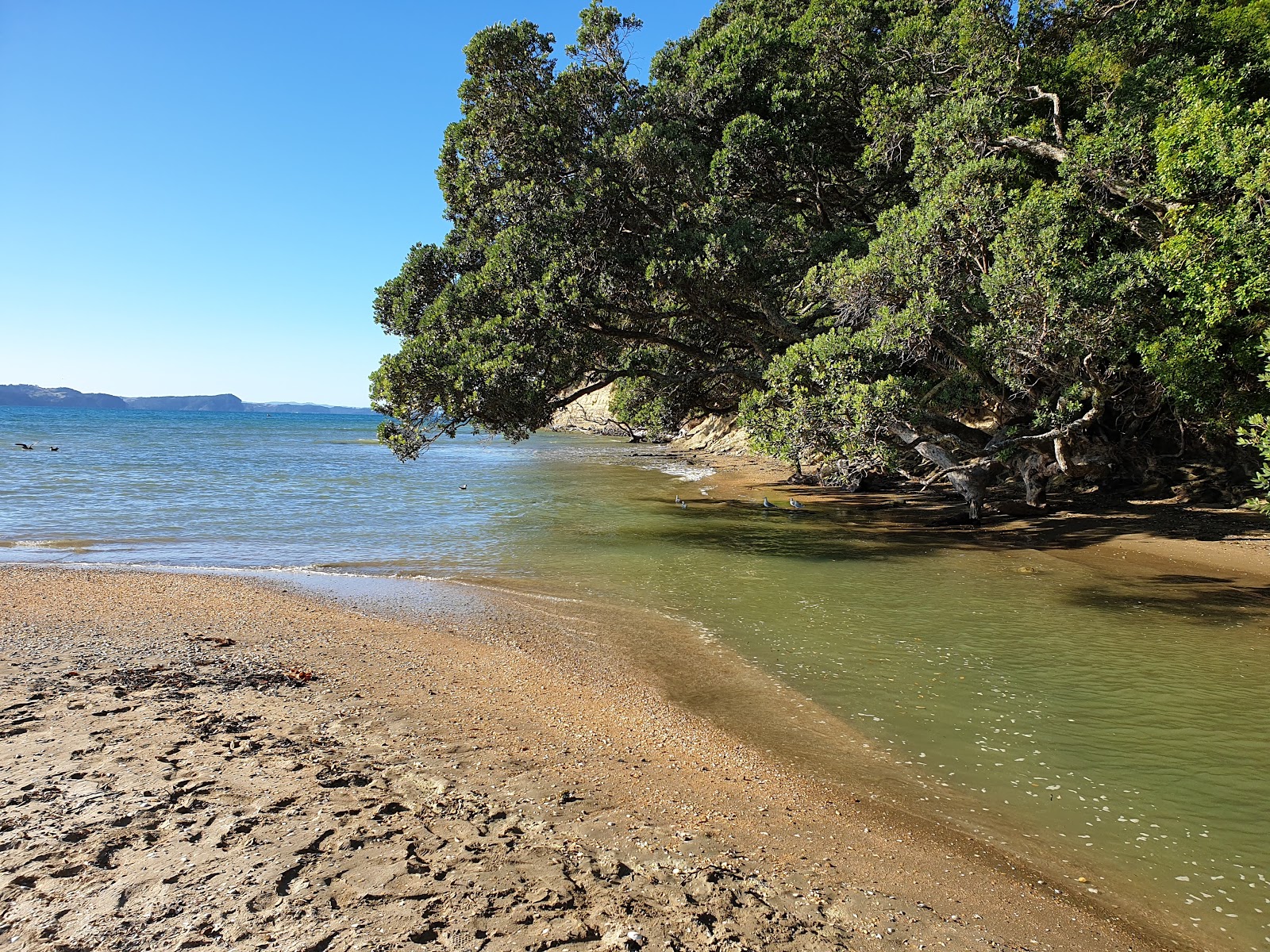 Cooper Reserve Beach photo #8