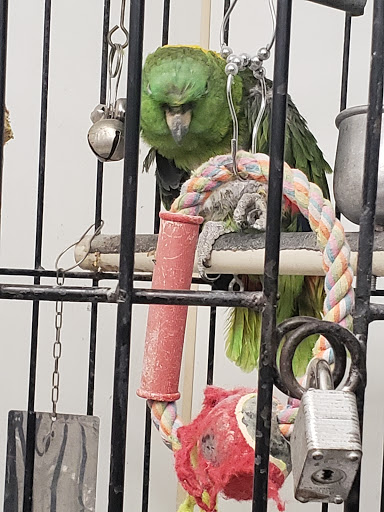 Tropical Fish Store «Midway Tropical Fish & Pets», reviews and photos, 24101 Pacific Hwy S, Kent, WA 98032, USA